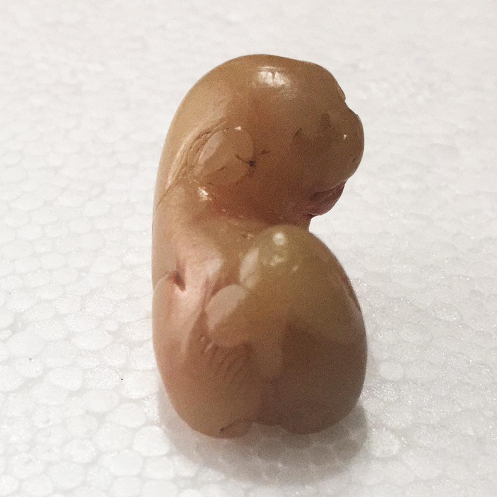 未标题-2